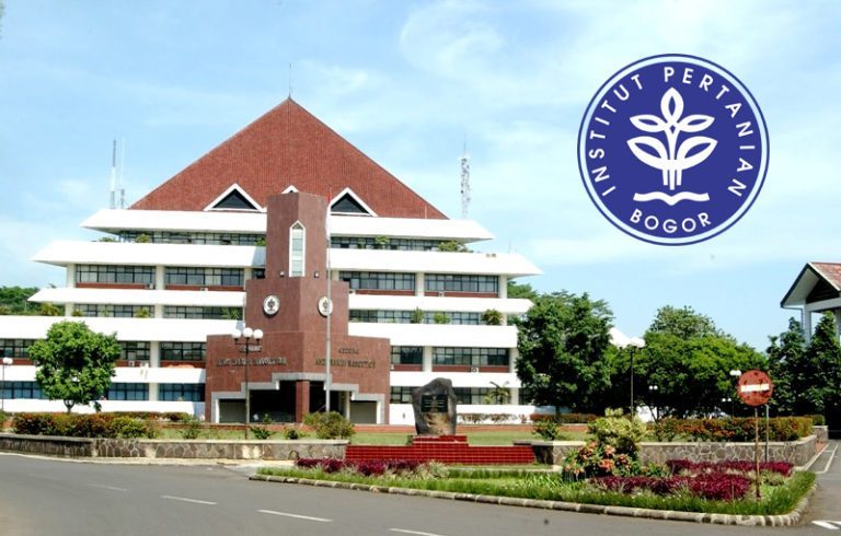 Persiapan Ujian Mandiri IPB: Tes Kemampuan Kuantitatif Tanpa Pusing