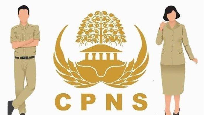Update Terbaru CPNS: Jenis-Jenis Formasi Khusus dan Syaratnya