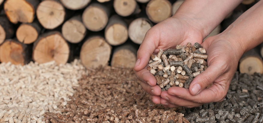 Proses Produksi Wood Pellet, Dari Limbah Kayu Jadi Energi Bernilai Tinggi