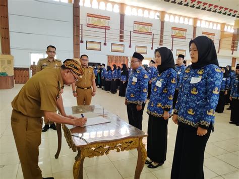 Sudah Tahu Lokasi Ujian CPNS Kamu? Saatnya Coba Simulasi CAT!