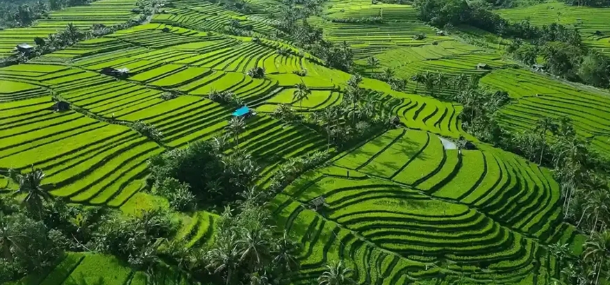 Gerakan Eco-Village, Inisiatif DLH Bali dalam Mendorong Desa Ramah Lingkungan