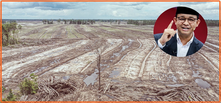 Solusi Cerdas Anies Baswaden, Ganti Food Estate dengan Konsep Contract Farming